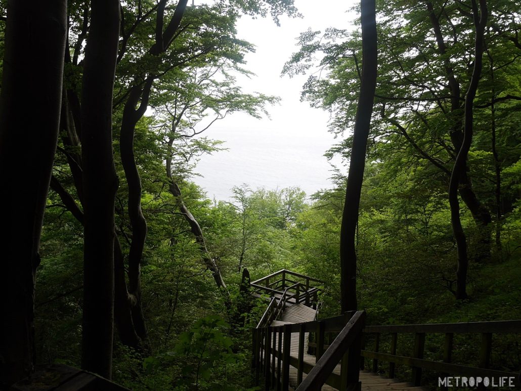 Stairway to Møns Klint